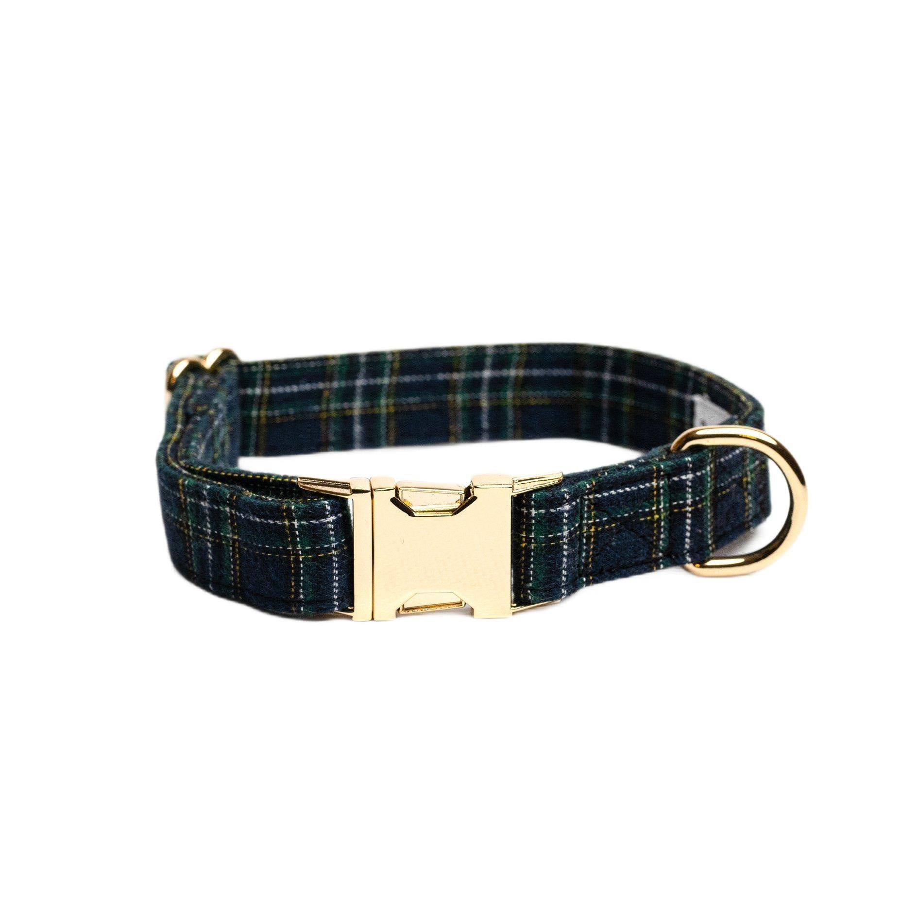 Collar Oxford - Tienda online collares y accesorios de diseño para perros Dog Models - Pet Peterson