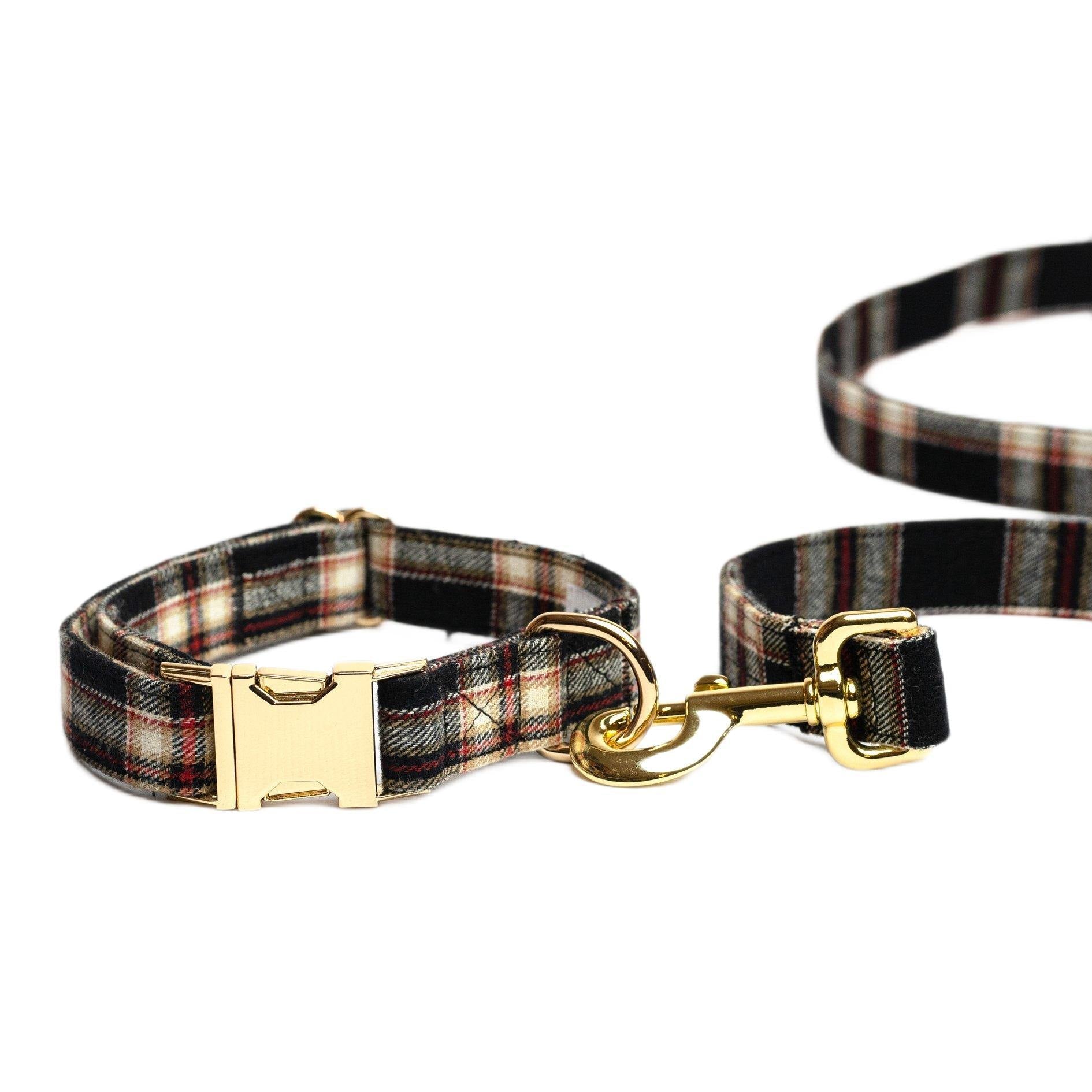 Pet Peterson set - London - Tienda online collares y accesorios de diseño para perros Dog Models - Pet Peterson